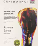 Сертификат дополнительного образования. Микроскопная эндодонтия.